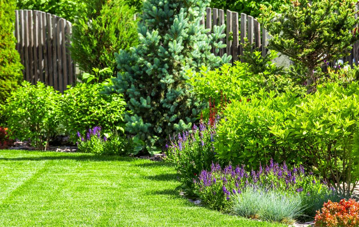 Garten mit vielfältiger Bepflanzung und Rasen